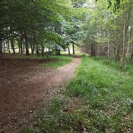 Parque de Campismo Glamping Pod Im Wald
